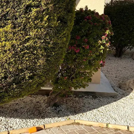 Danaos Seaside 001 With Pool In Tourist Area